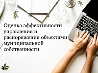 оценка эффективности управления и распоряжения объектами муниципальной собственности