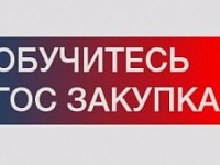 Управление государственными и муниципальными закупками в контрактной системе